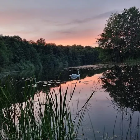 Hébergement de vacances Kaszubska Kryjowka - Komfortowy 8 Osobowy W Sercu Kaszub - Jacuzzi, Sauna, Rowerek Wodny, Jezioro, Las, Salon Gier! *