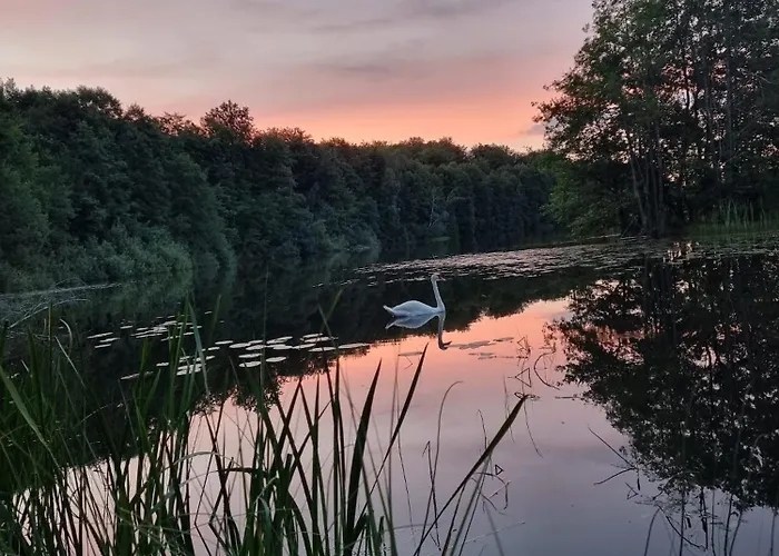 Σπίτι διακοπών Kaszubska Kryjowka - Komfortowy 8 Osobowy W Sercu Kaszub - Jacuzzi, Sauna, Rowerek Wodny, Jezioro, Las, Salon Gier! *